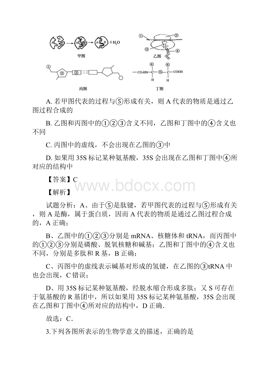 届广东省化州市高三上学期第二次模拟考试理科综合生物试题解析版.docx_第2页