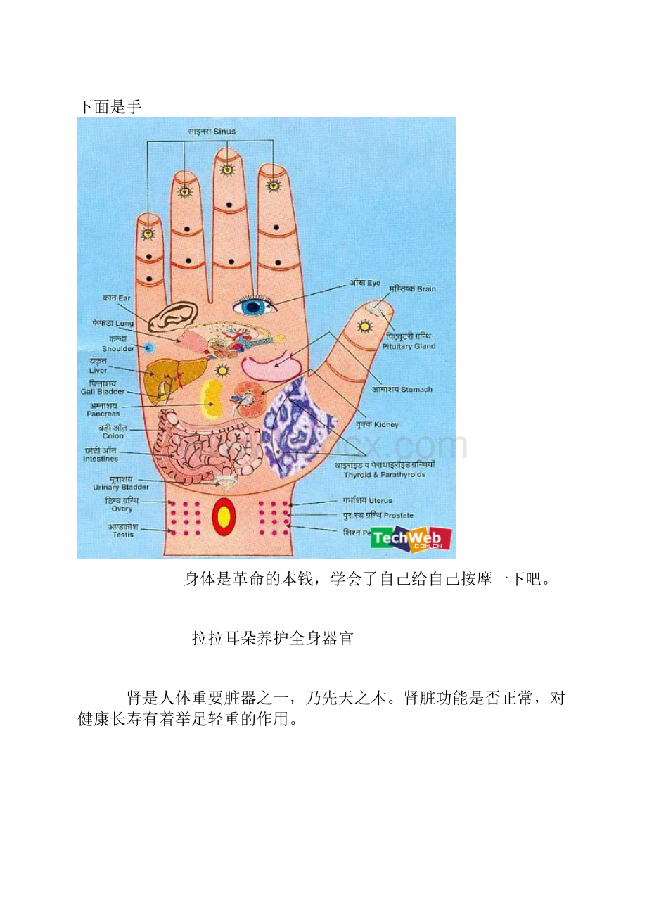 医学之太晚睡觉等于自杀.docx_第3页