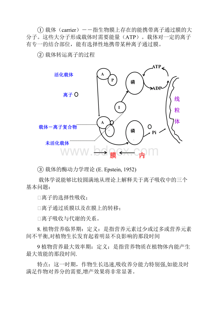 植物营养学复习资料.docx_第3页