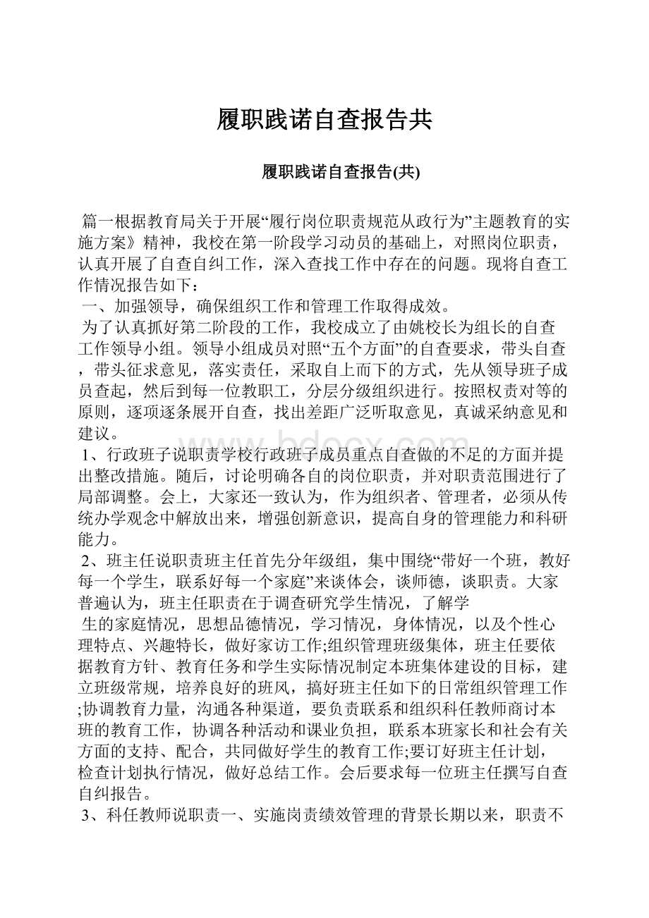 履职践诺自查报告共.docx_第1页