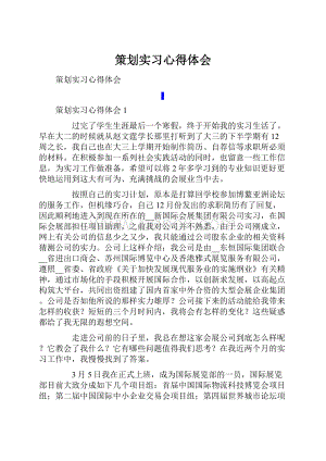 策划实习心得体会.docx