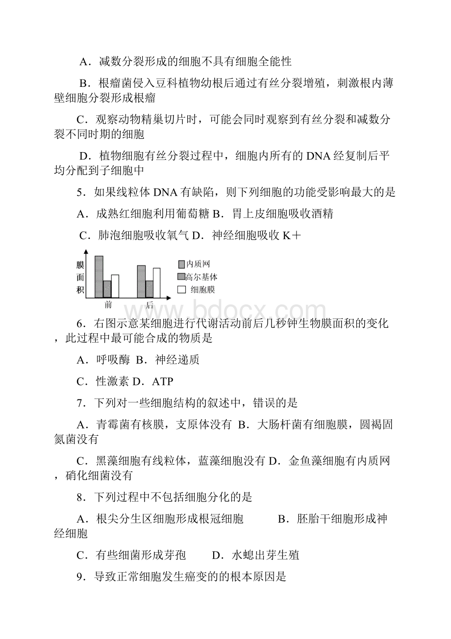 西城1.docx_第2页