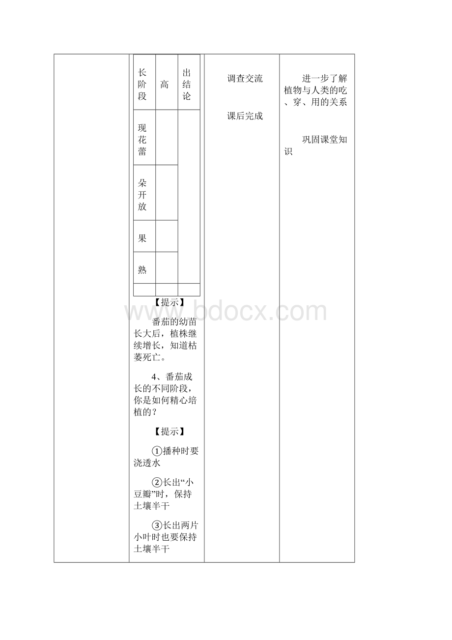 新教材苏教版科学三年级下14《植物结果了》教案.docx_第3页