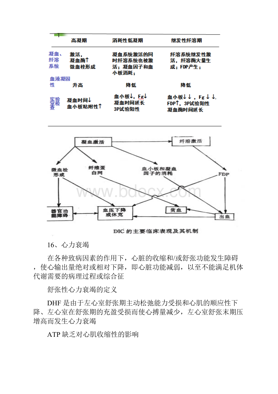 病理生理学考博用.docx_第3页