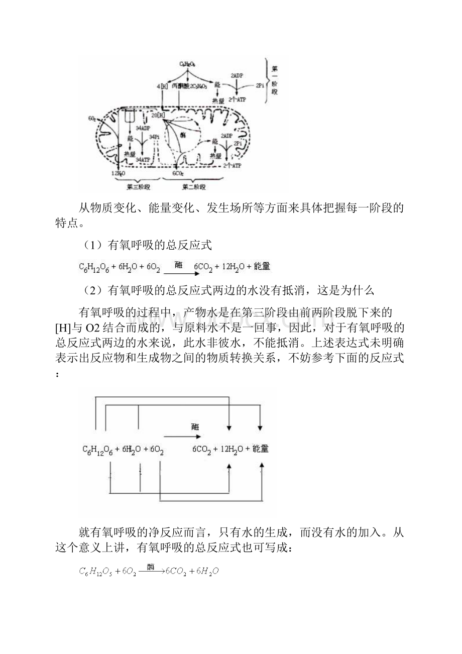 细胞呼吸知识点复习及答案.docx_第2页