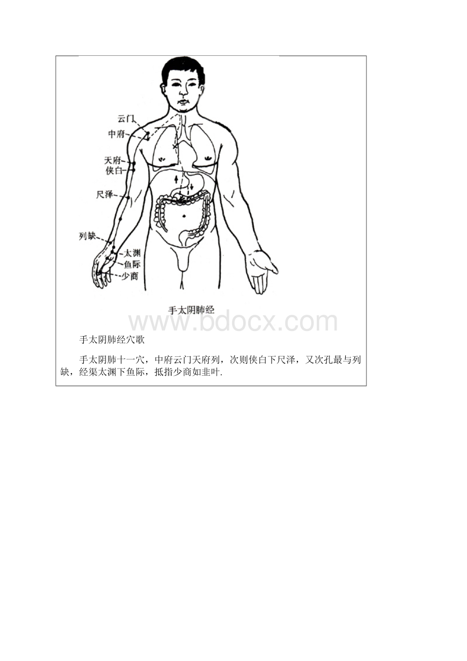 十二经脉穴位歌诀常用版.docx_第2页