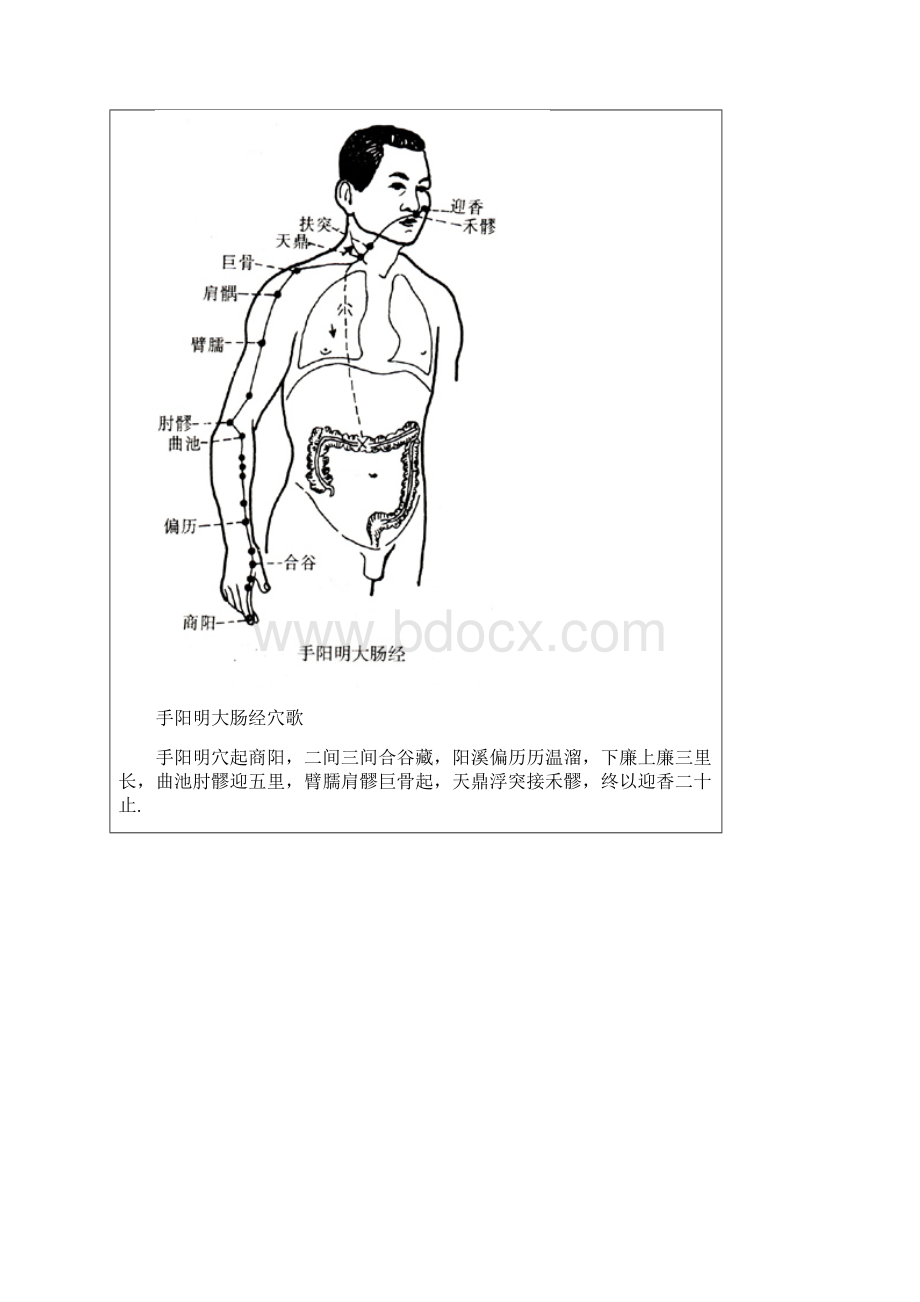 十二经脉穴位歌诀常用版.docx_第3页