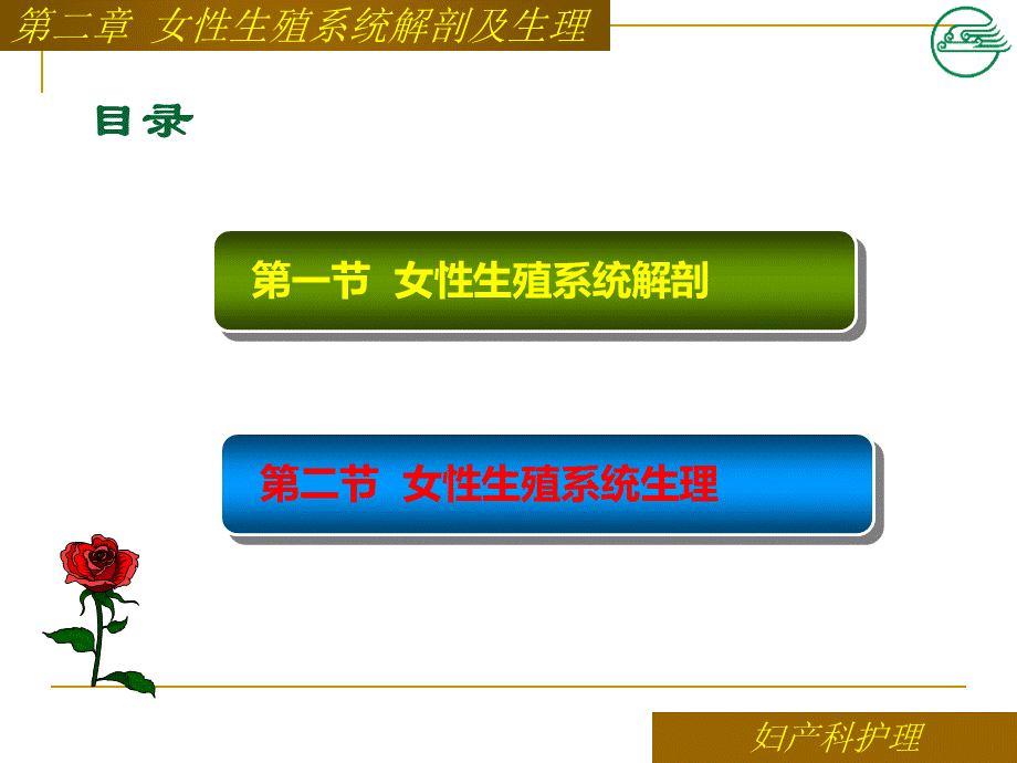 第二章-女性生殖系统解剖及生理.ppt_第3页