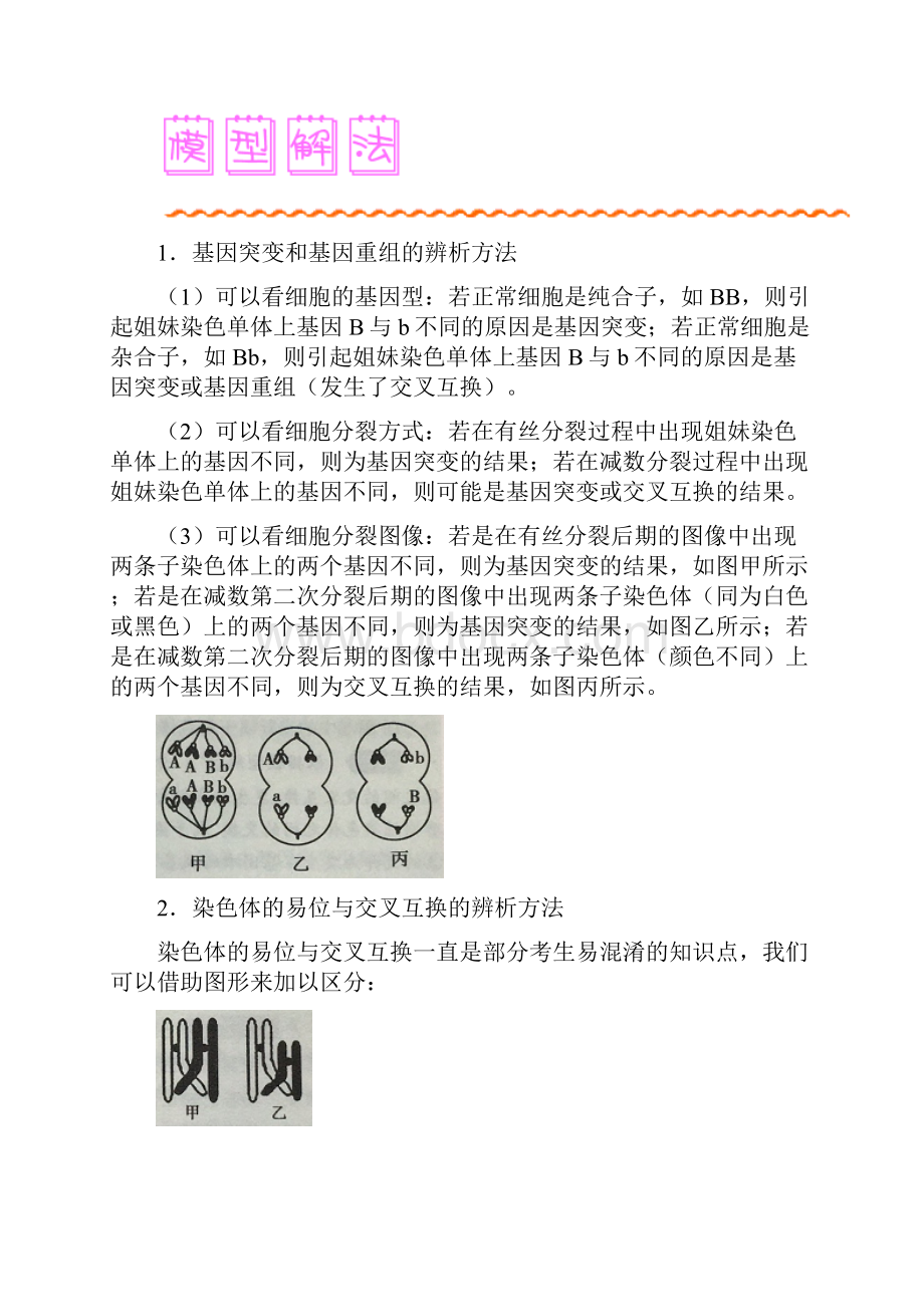 届高考生物人教版一轮复习模型解题法试题模型16 生物变异类型的辨析.docx_第2页