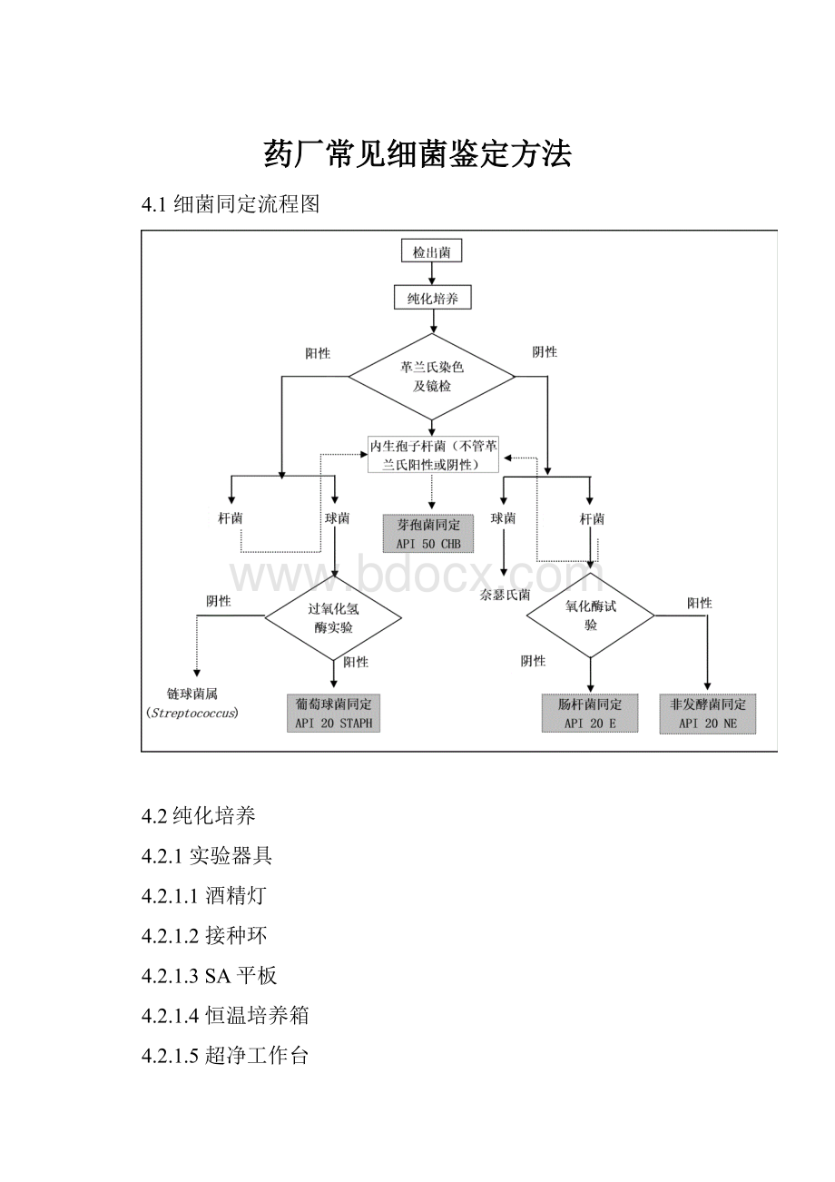 药厂常见细菌鉴定方法.docx