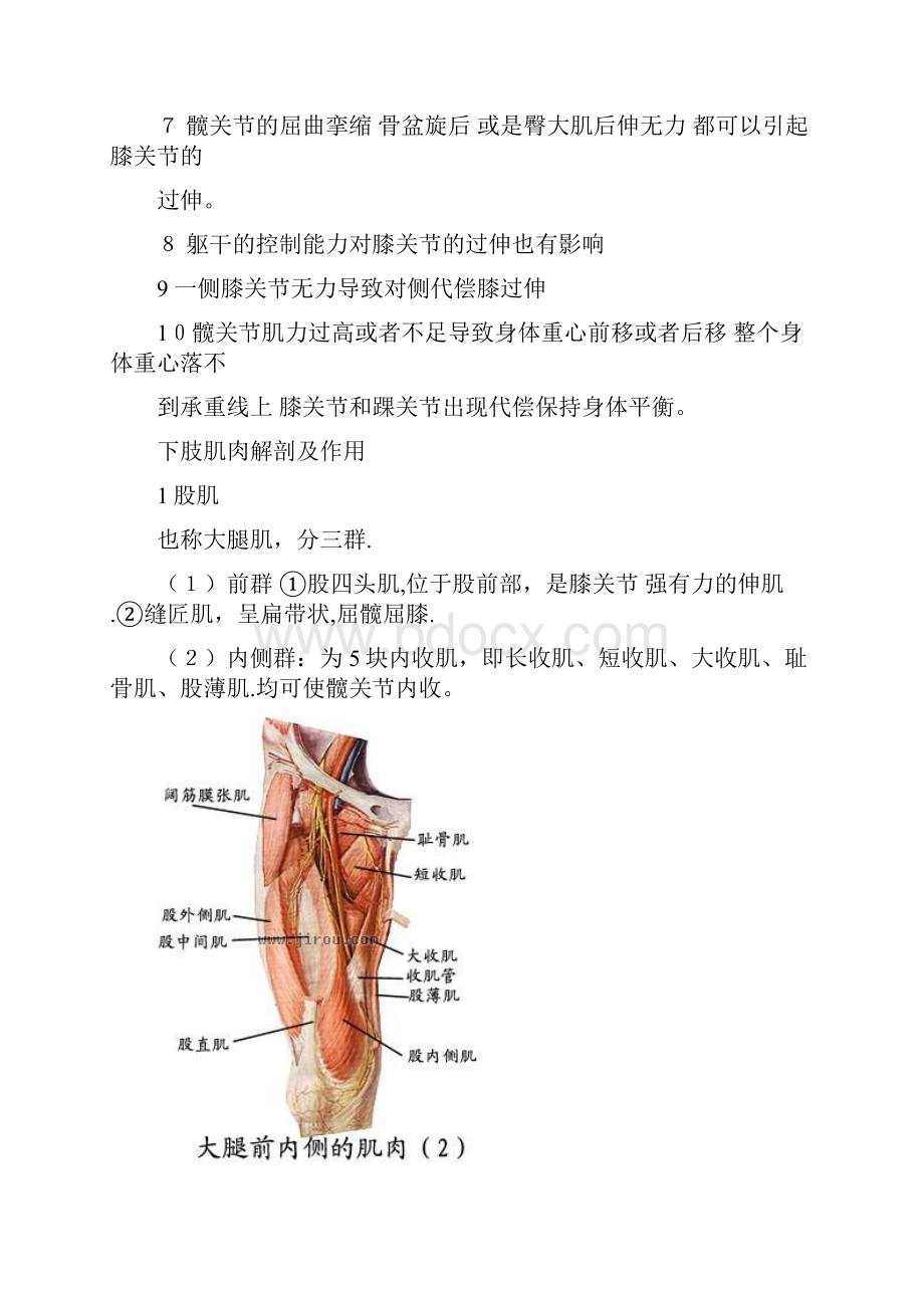 最新膝过伸的原因及康复精品课件.docx_第2页