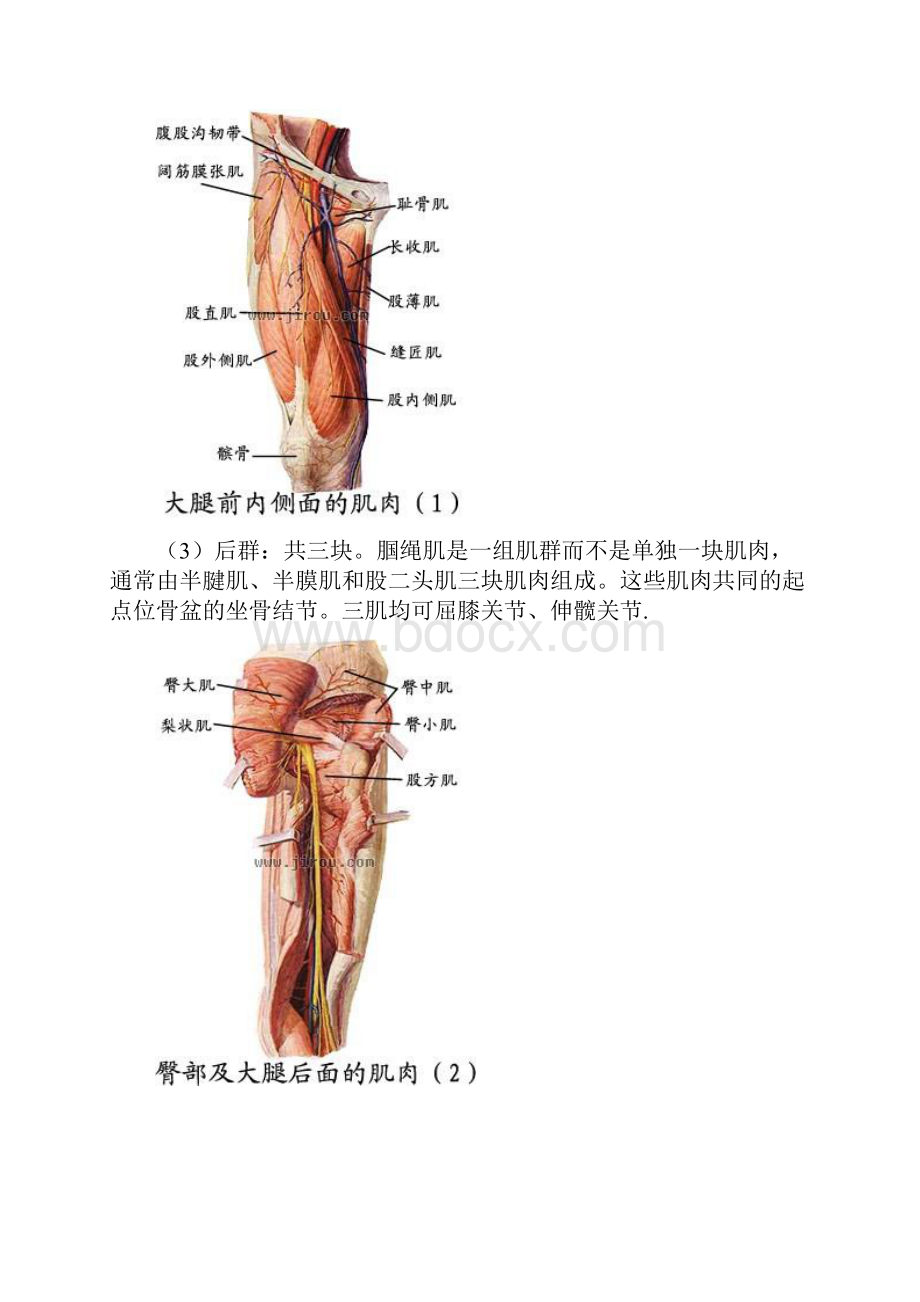 最新膝过伸的原因及康复精品课件.docx_第3页