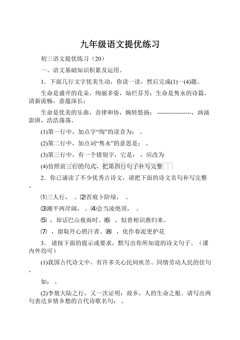 九年级语文提优练习.docx