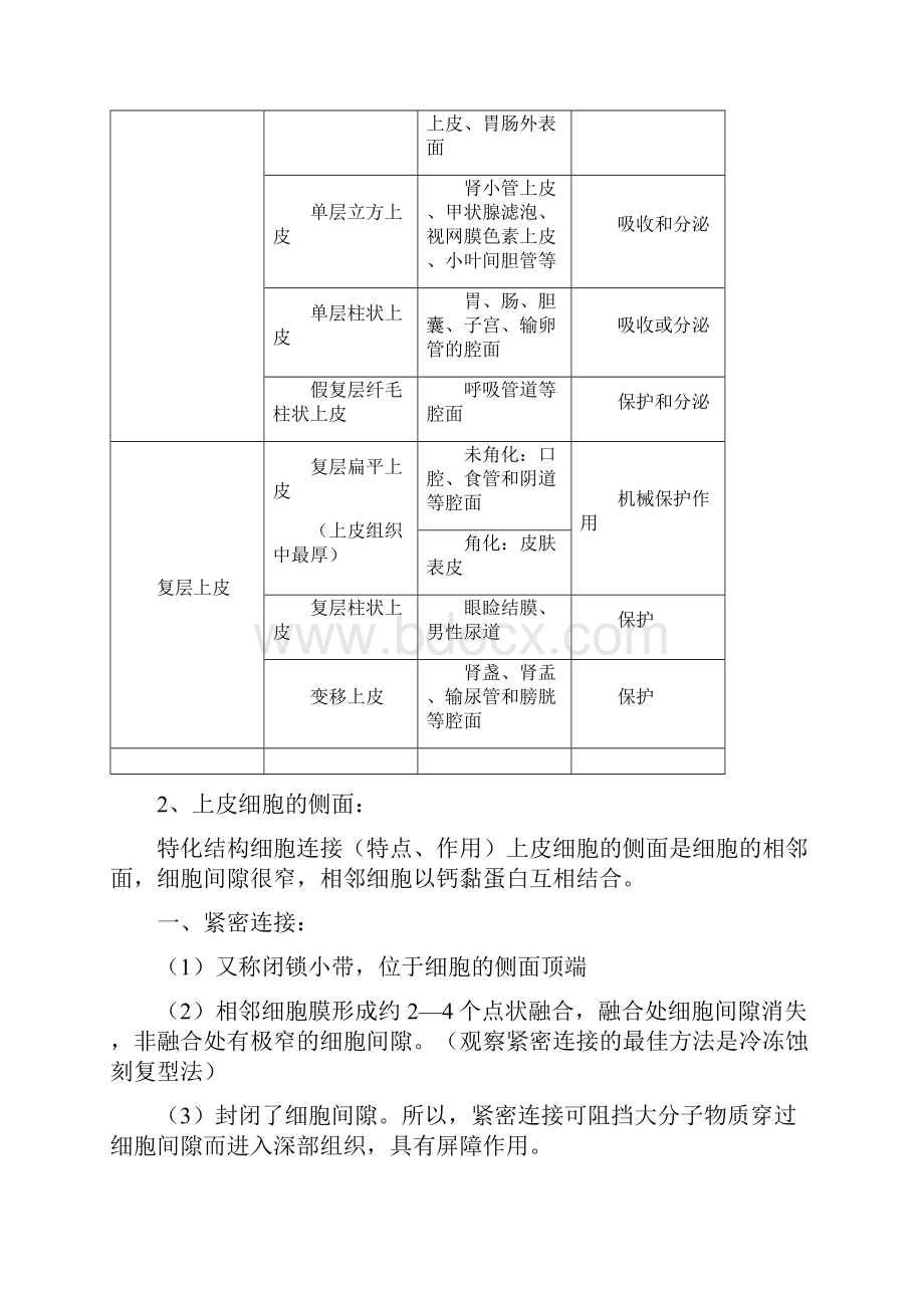 组织结构组织学与胚胎学重点归纳.docx_第3页