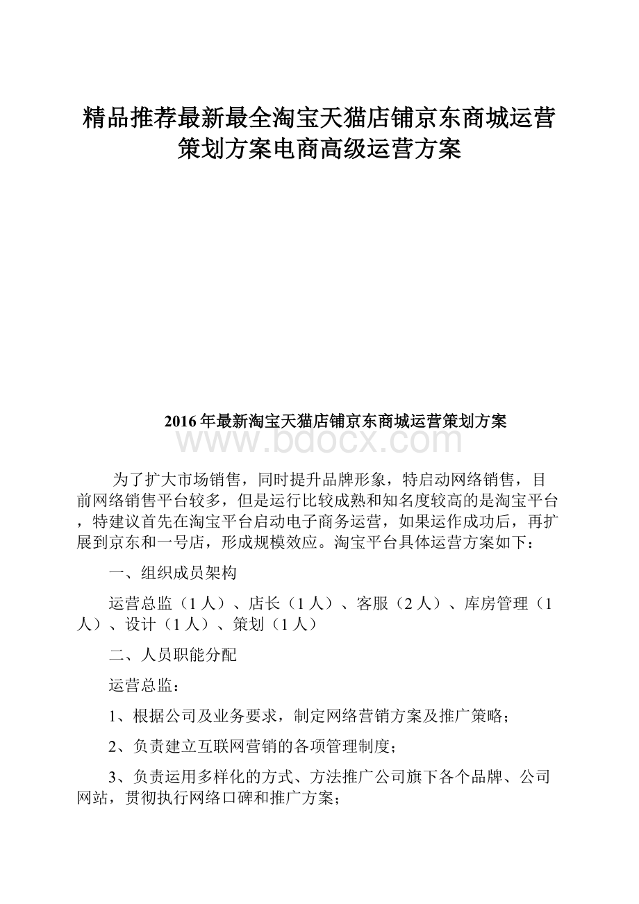 精品推荐最新最全淘宝天猫店铺京东商城运营策划方案电商高级运营方案.docx_第1页