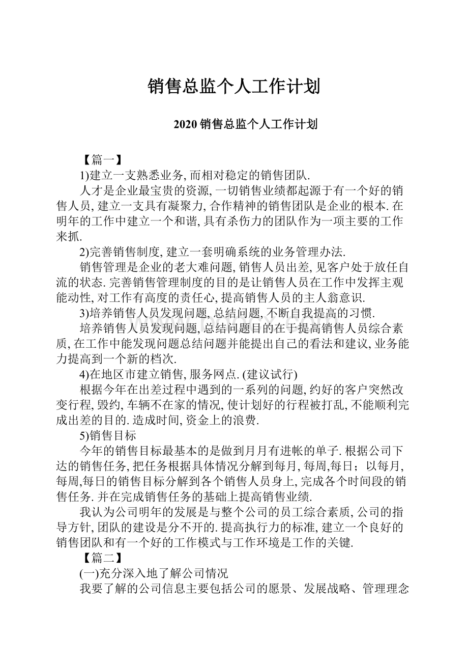 销售总监个人工作计划.docx