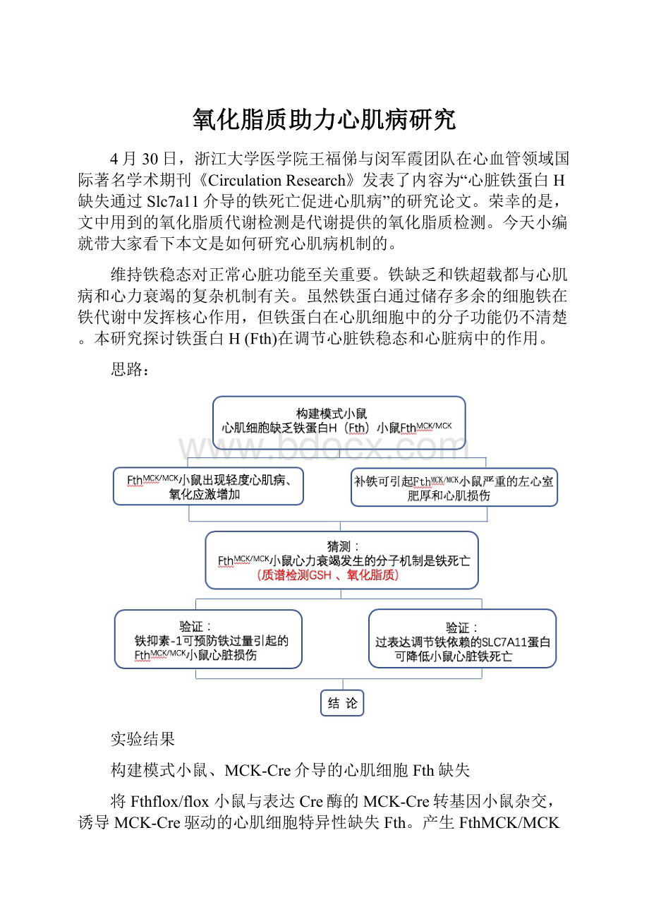 氧化脂质助力心肌病研究.docx