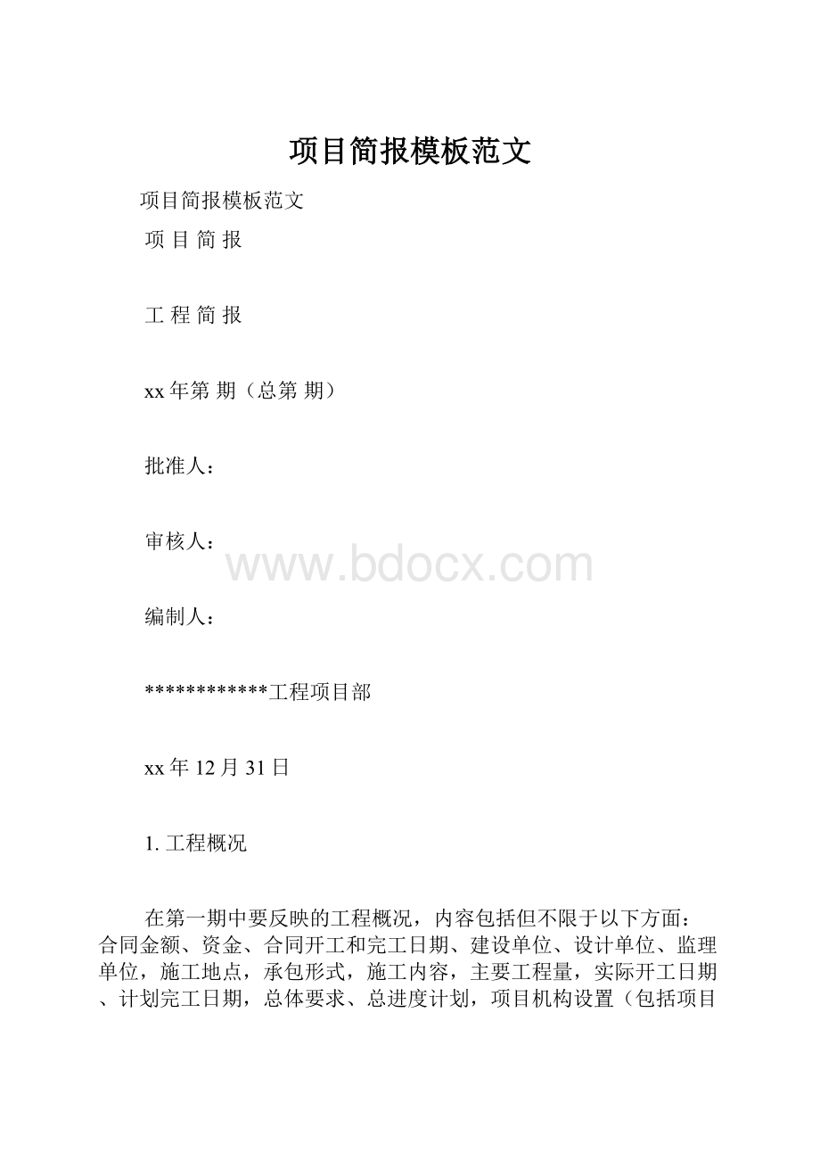 项目简报模板范文.docx