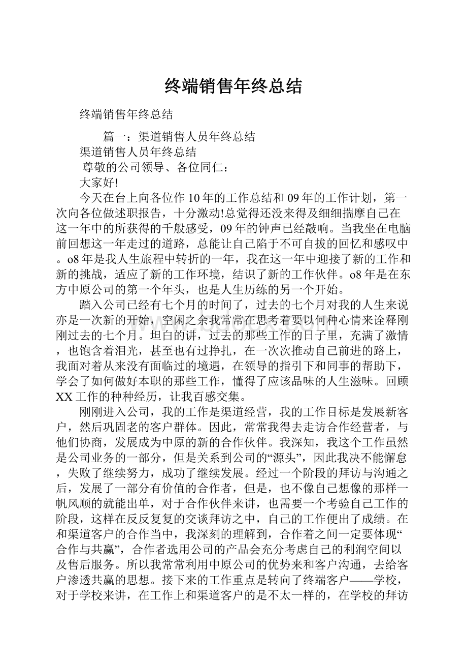 终端销售年终总结.docx