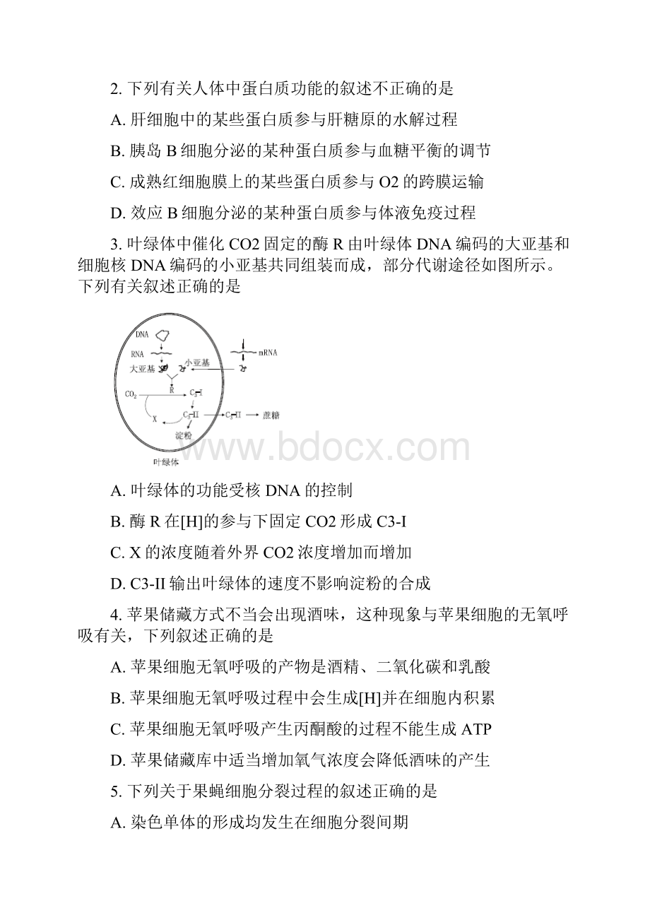 北京市丰台区届高三上学期期末考试生物试题.docx_第2页