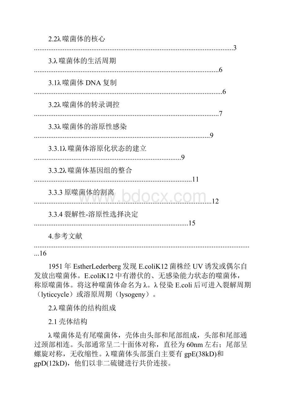 7A版λ噬菌体的裂解性和溶原性.docx_第2页