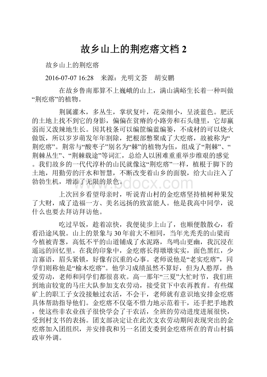 故乡山上的荆疙瘩文档 2.docx