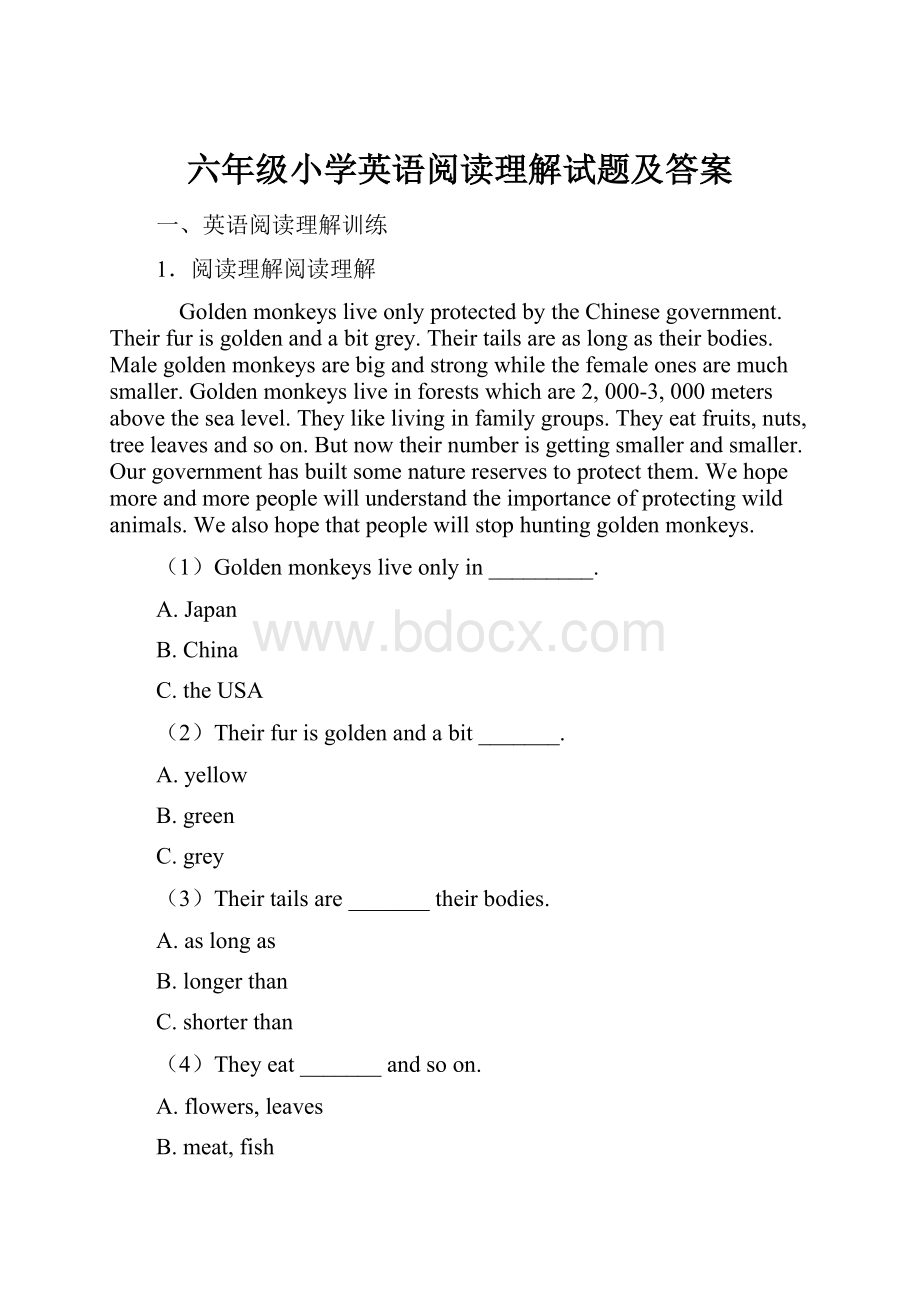 六年级小学英语阅读理解试题及答案.docx