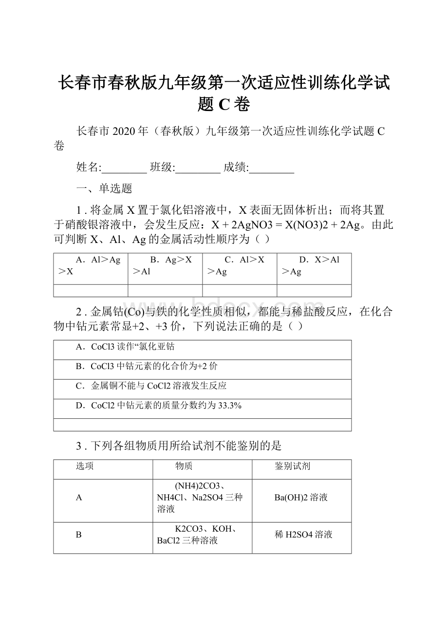 长春市春秋版九年级第一次适应性训练化学试题C卷.docx