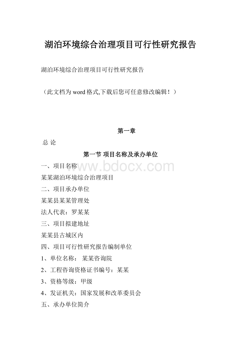 湖泊环境综合治理项目可行性研究报告.docx