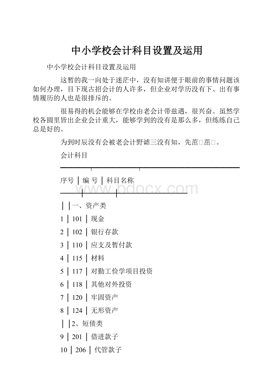 中小学校会计科目设置及运用.docx