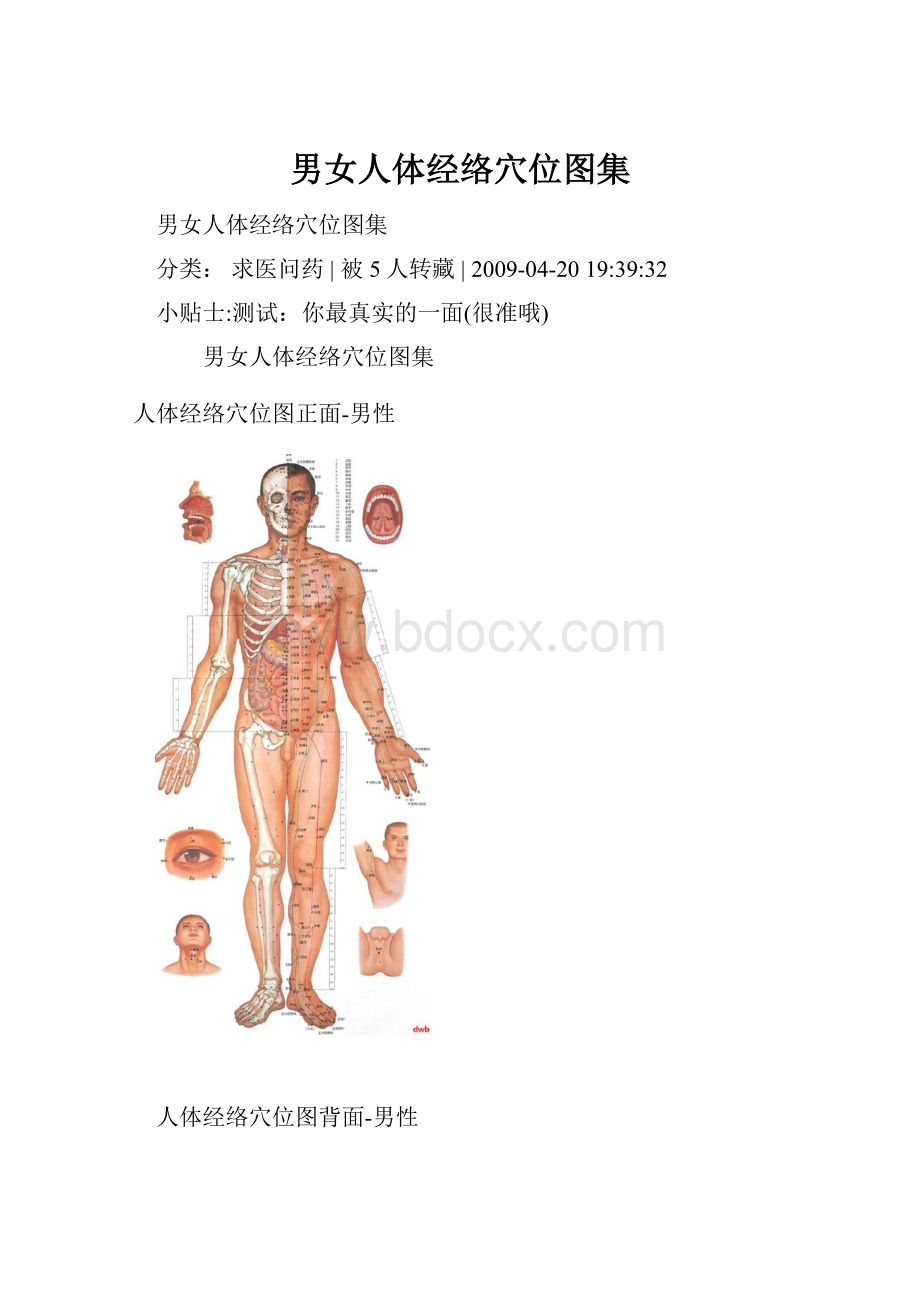 男女人体经络穴位图集.docx