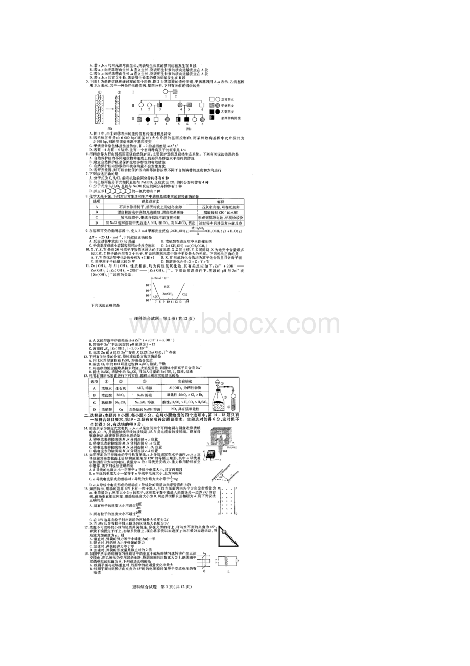 河南省天一大联考原豫东豫北十所联考届高三阶段性测试四 理科综合 扫描版缺答案.docx_第2页