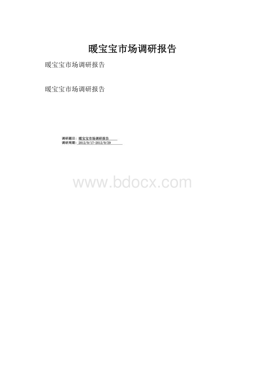 暖宝宝市场调研报告.docx