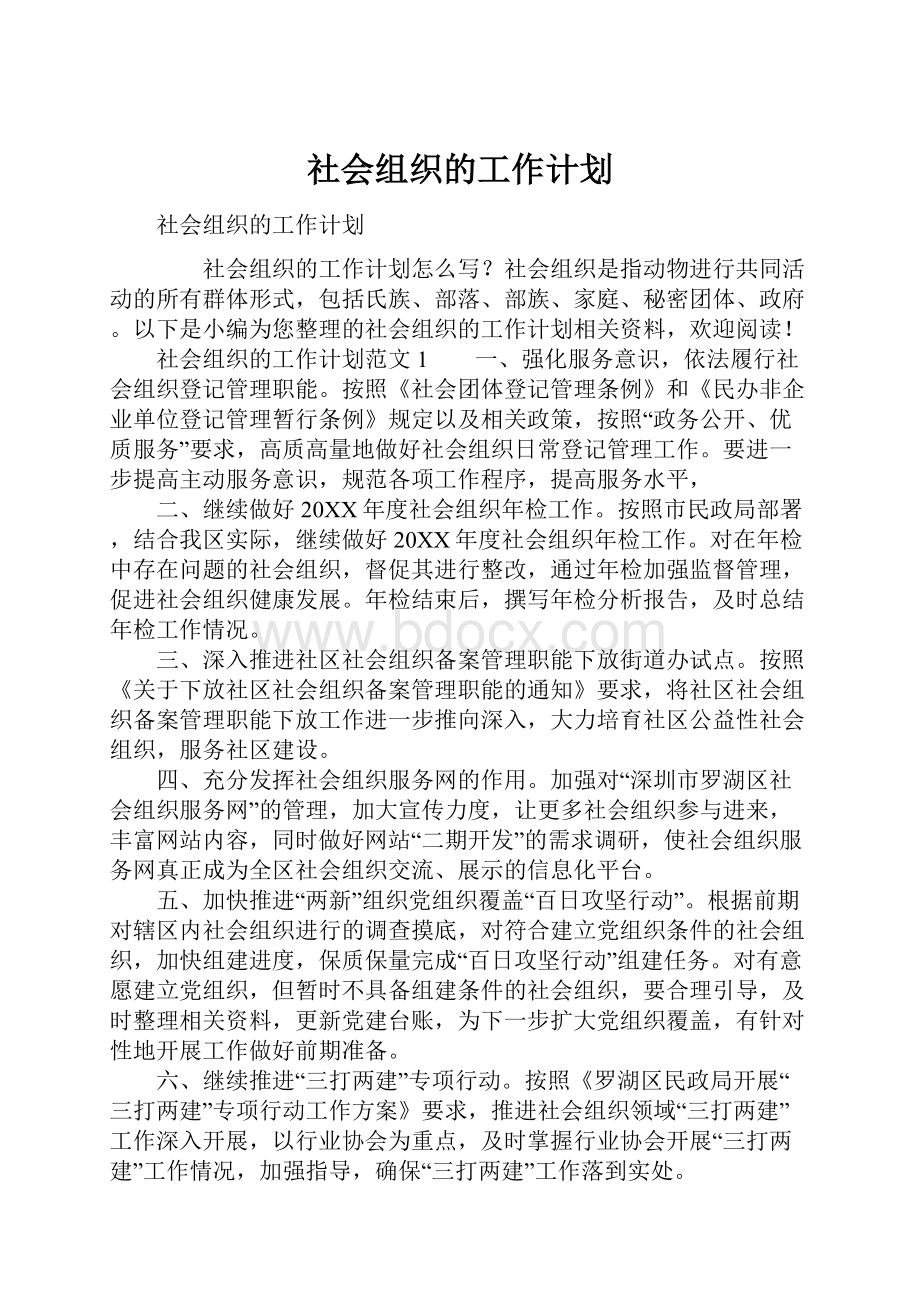 社会组织的工作计划.docx