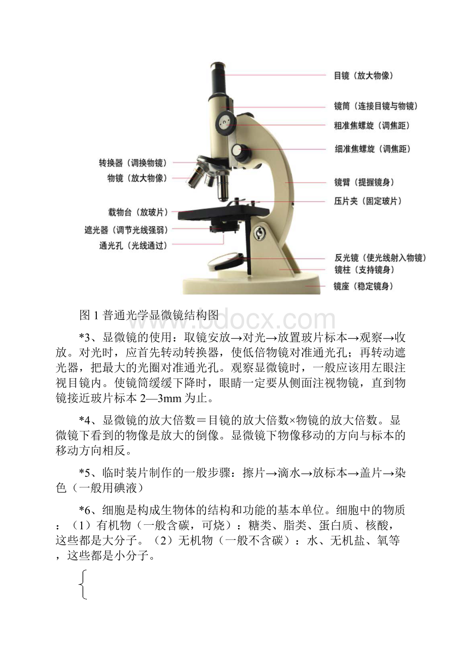 北师大版中考生物复习提纲.docx_第3页