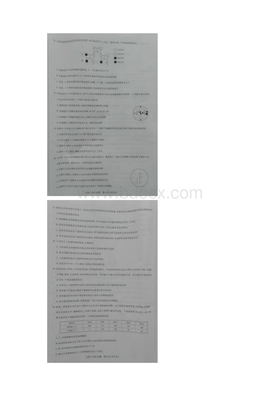 学年河南省天一大联考高二阶段性测试二生物试题图片版含答案.docx_第3页