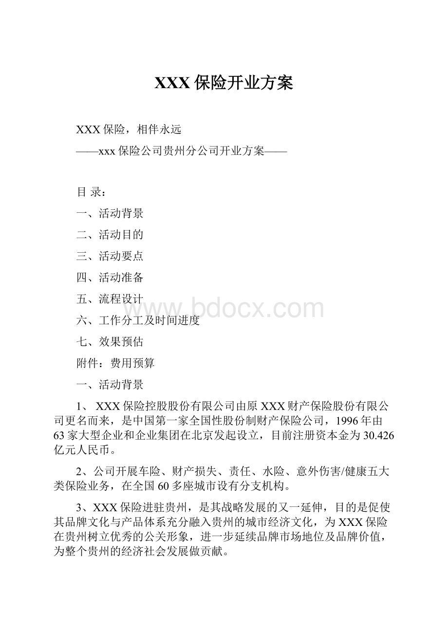 XXX保险开业方案.docx