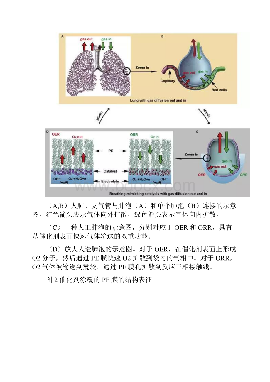 材料斯坦福大学崔屹Joule一种会呼吸的OER和ORR催化剂.docx_第3页