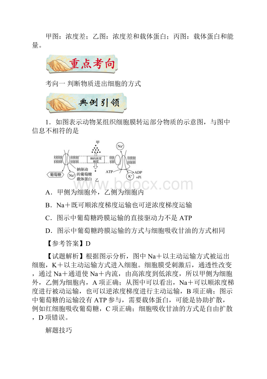 专题14 细胞的物质输入和输出 考点汇总附练习 高考生物考点一遍过.docx_第2页