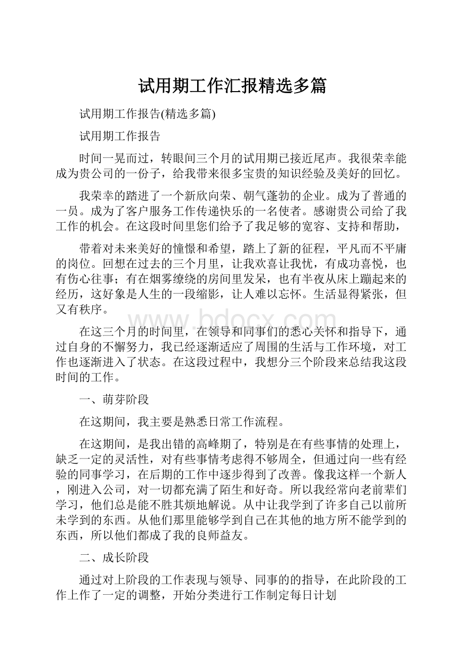 试用期工作汇报精选多篇.docx