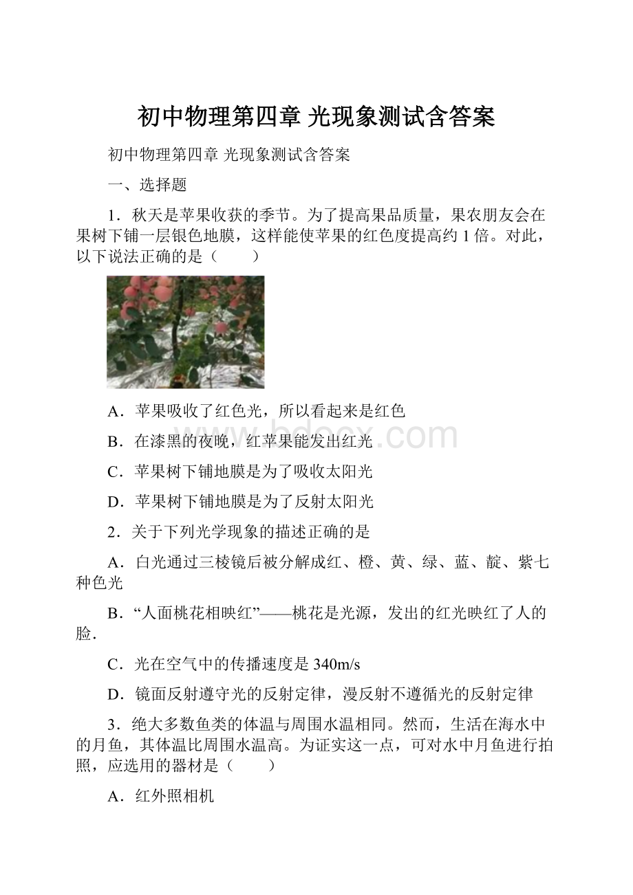 初中物理第四章 光现象测试含答案.docx