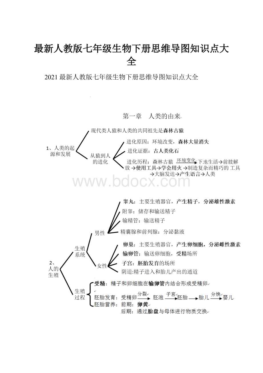 最新人教版七年级生物下册思维导图知识点大全.docx