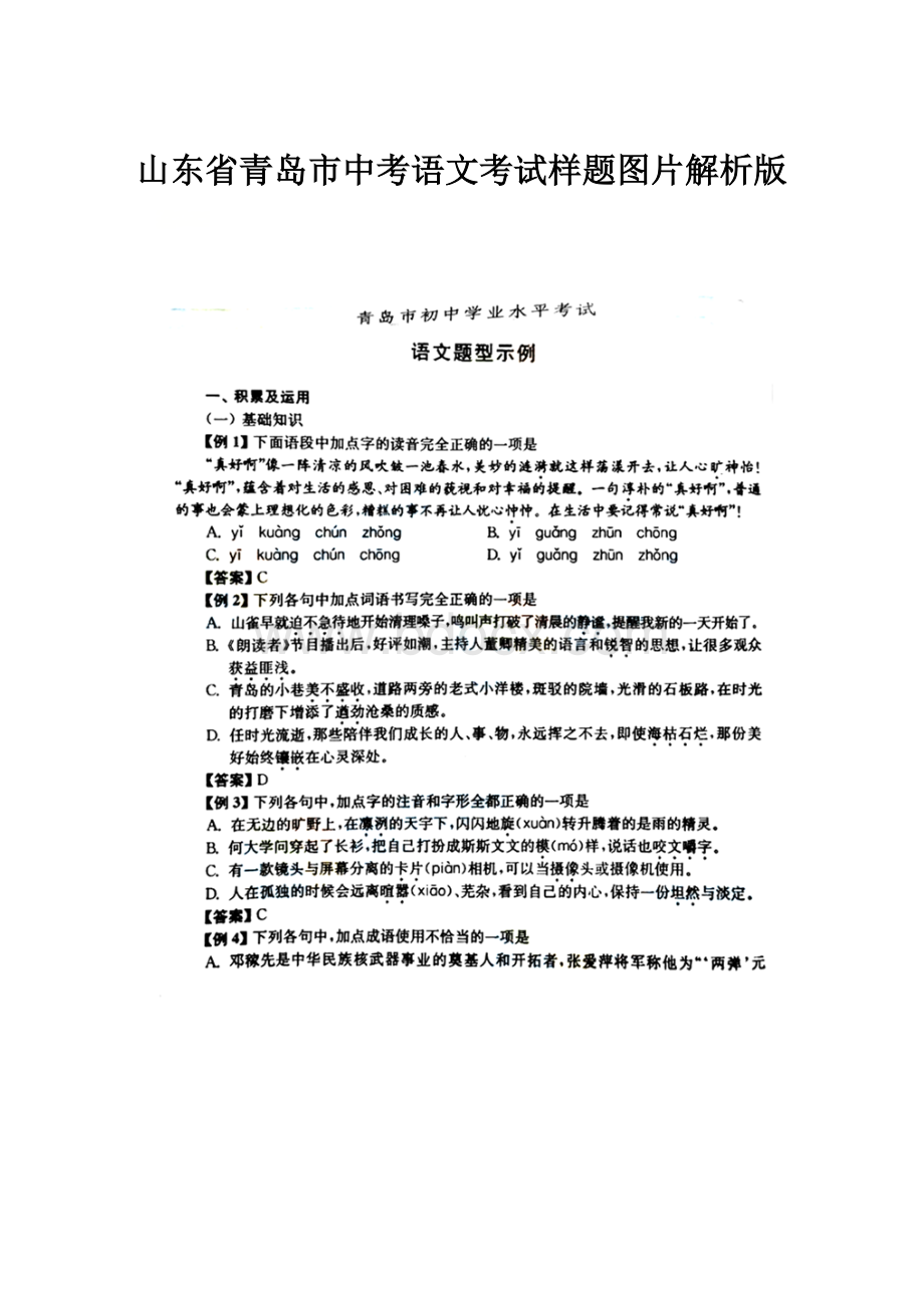 山东省青岛市中考语文考试样题图片解析版.docx