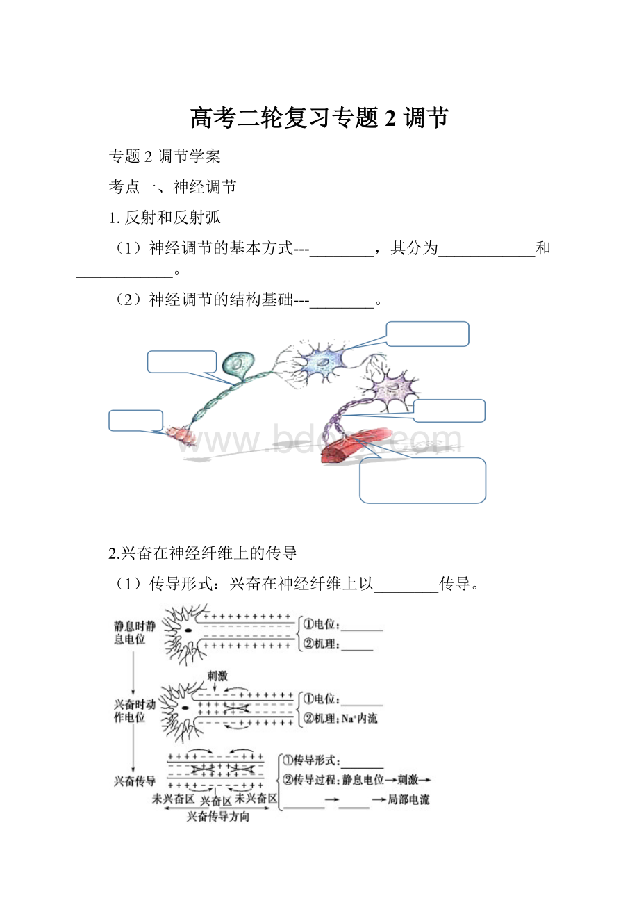 高考二轮复习专题2调节.docx