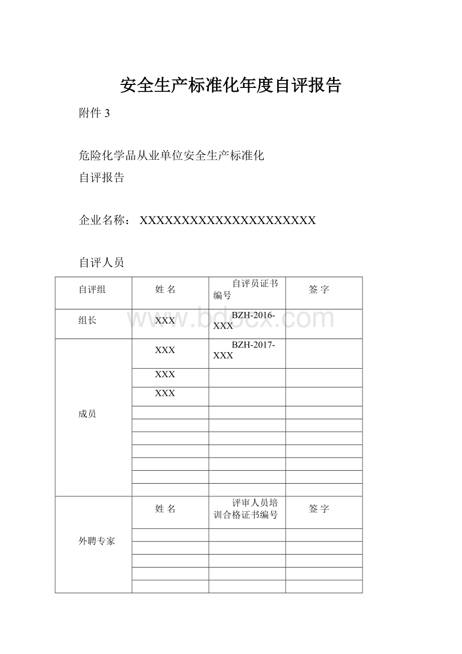 安全生产标准化年度自评报告.docx