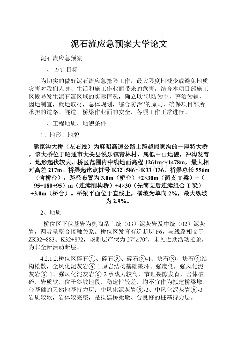 泥石流应急预案大学论文.docx