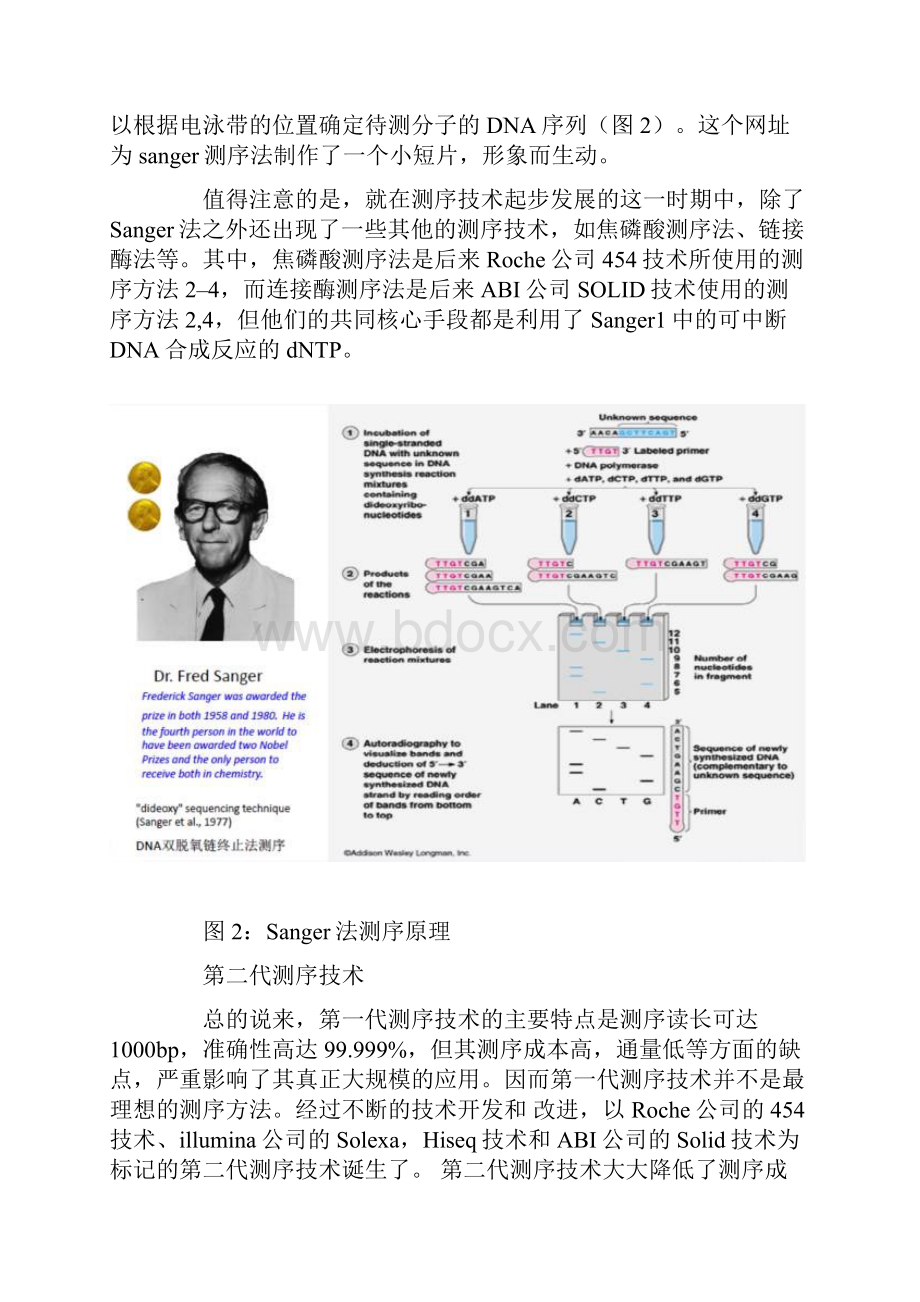 三代测序原理技术比较.docx_第3页