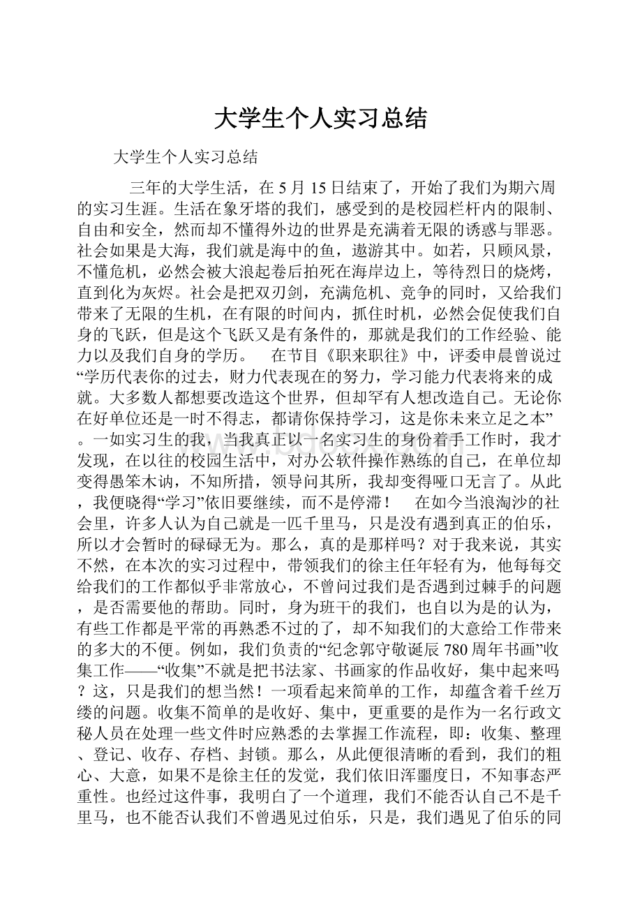 大学生个人实习总结.docx