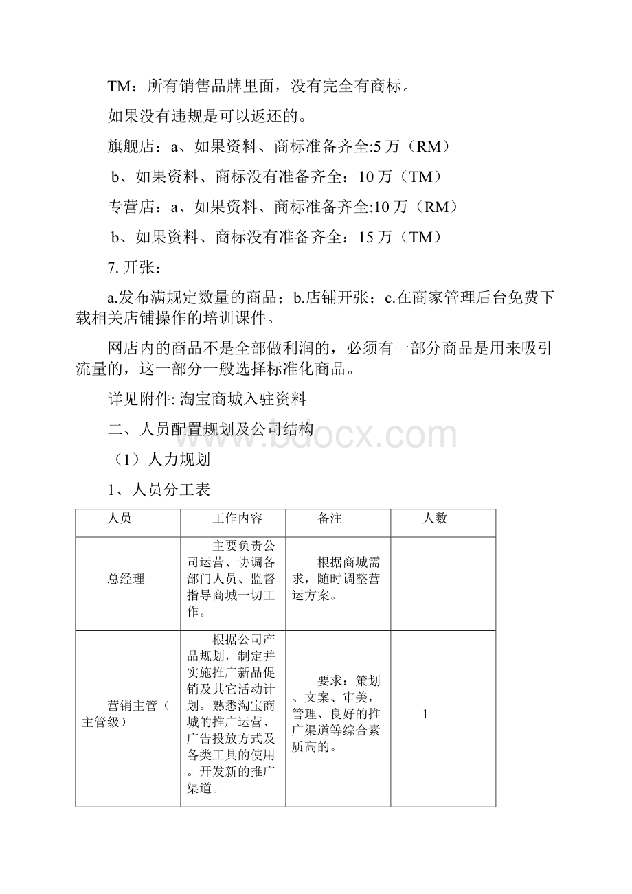 天猫经营策划方案.docx_第3页