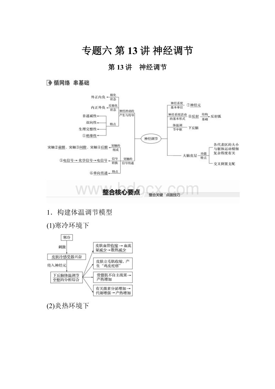 专题六 第13讲 神经调节.docx